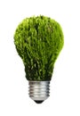 Lamp made Ã¢â¬â¹Ã¢â¬â¹of green plants. Ecology conception Royalty Free Stock Photo
